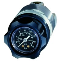 Pressure regulators with internal gauge in setting knob EWO standard G 3/8