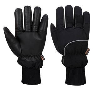 A751 - Apacha Cold Store Glove Black