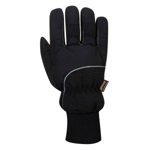 A751 - Apacha Cold Store Glove Black