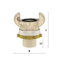 Lüdecke SSCI 38 NPT - US-MODY-Sicherheits-Innengewindek