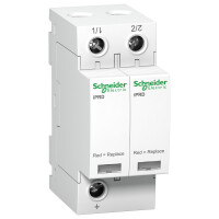 Schneider Electric A9L40201 Überspannung