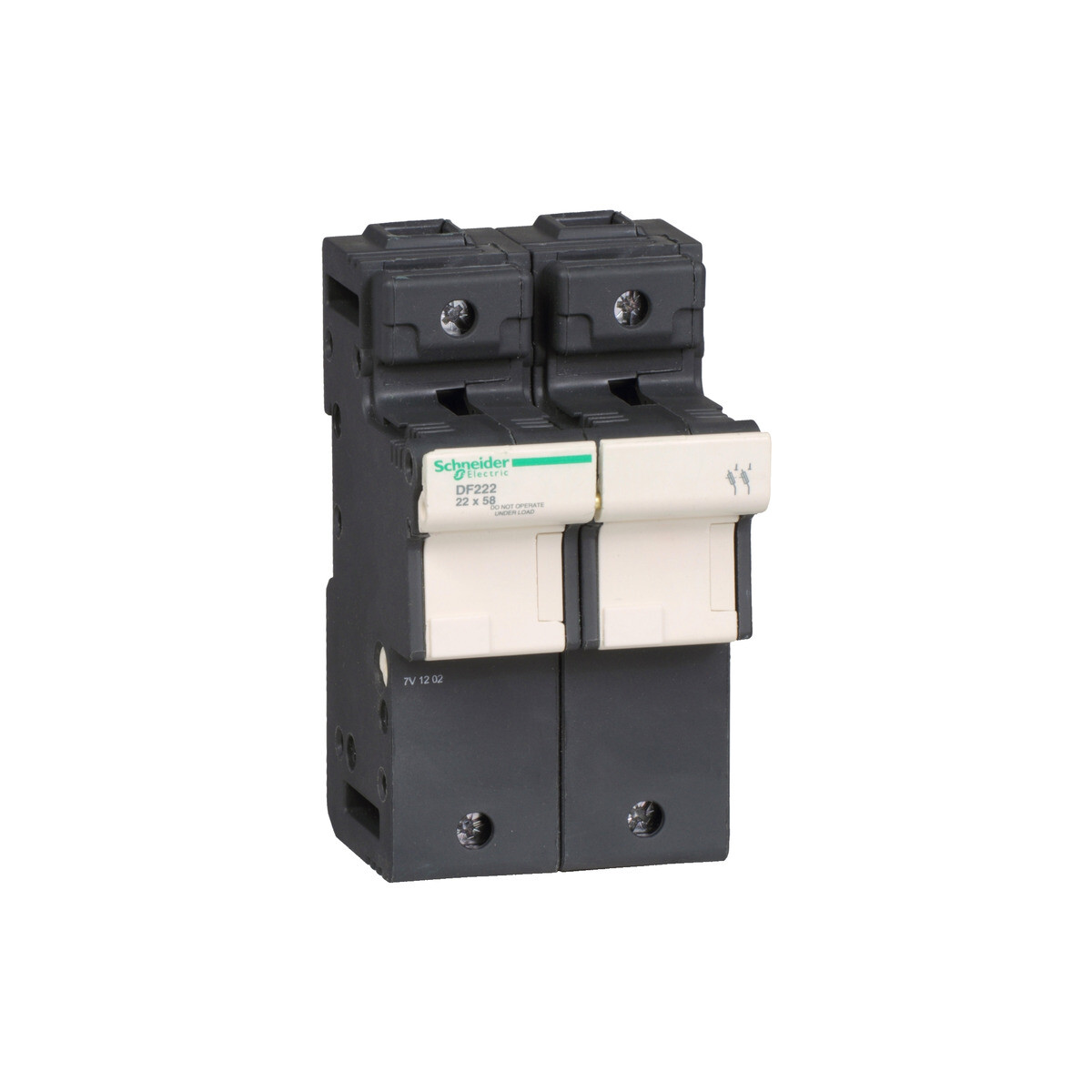Schneider electric DF222 Portafusibles, Tesys DF, 2P, 125A, 