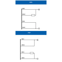 Datasensing RX8/00-1A Fotoelektrischer Maxi-Sensor 2
