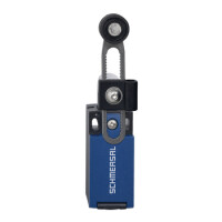 Schmersal Position switch with safety fu slider