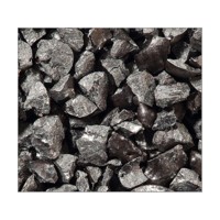 25kg Chilled Iron Grit G 17 (0,4- 0,8 mm)