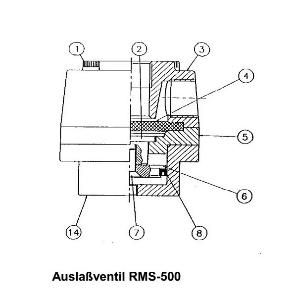7. RMS-2007 screw